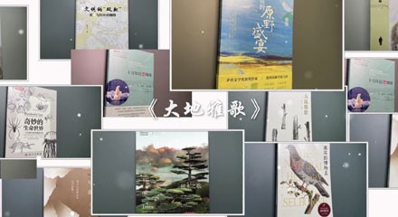 Ї[ͼ顶Ÿ衷ѡڶ“...